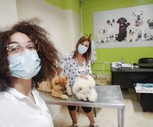 Clinique vétérinaire bardo 1 _ Dr Amira Ben Zdira