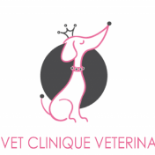 Anivet clinique veterinaire